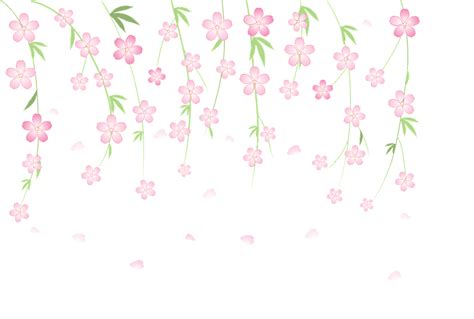 Cherry Blossoms Clipart Free Download Transparent Png Creazilla