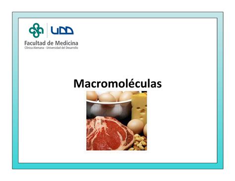 4 Carbohidratos Cncet Macromoléculas Importancia De Los