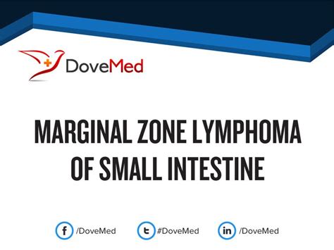 Marginal Zone Lymphoma Of Small Intestine