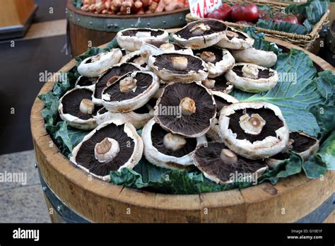 Mushrooms Varieties Hi Res Stock Photography And Images Alamy