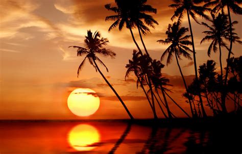 Wallpaper Sea Beach The Sun Sunset Tropics Palm Trees Beach Sea