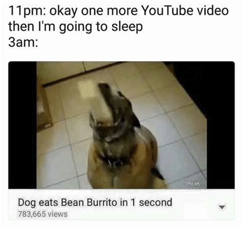 11 Pm Okay One More Youtube Video Then Im Going To Sleep 3am Dog Eats