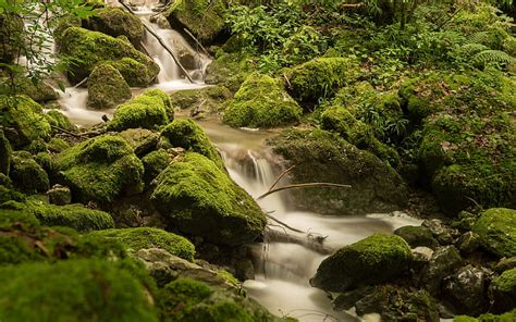 Rocks Covered Green Moss Near Waterfalls 2016 Scen Hd Wallpaper