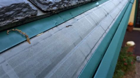 If you choose to install a gutter guard, you will not spend lesser time and money because the debris will be stuck on top of the guard. Can I install Gutter Guards by myself? - Quora