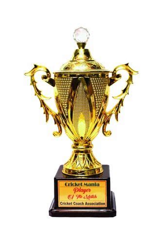 Golden Gold Plated Pcc 73 Plastic Trophy Cups At Rs 450piece In