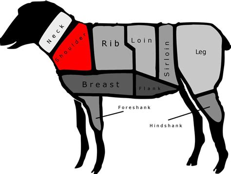 Of meat are the same and different on beef, sheep and swine. On the Lamb: A Chart of the Major Cuts From Leg to Loin