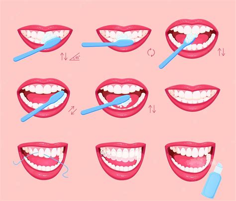 premium vector how to brush your teeth instructions teeth cleaning dental hacks dental