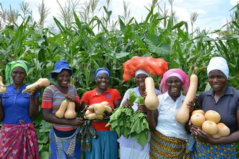 Women Small Holder Farmers Key Drivers For Sustainable Production