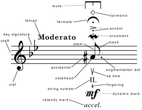 Sheet Music Symbol Meanings Musical Symbols Home Kayla Stuff