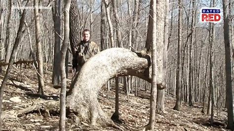 Strange Heartland History Are Bent Trees Really Native American Trail Markers Youtube