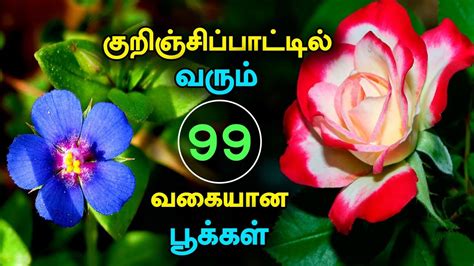 Flowers Name In Tamil With Picture Best Flower Site