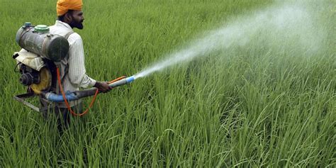 Des Agriculteurs Victimes De Pesticides Veulent Rompre Le Silence