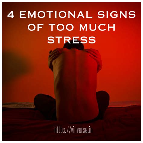 4 Emotional Signs Of Stress Vinverse