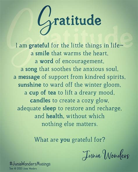 Gratitude In 2023 Grateful Thankful Blessed Quotes Gratitude Quotes