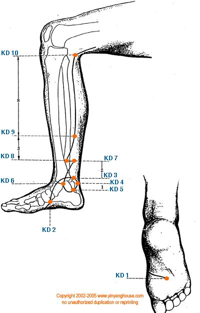 Kd Kidney Meridian Graphic Acupuncture Acupuncture Points