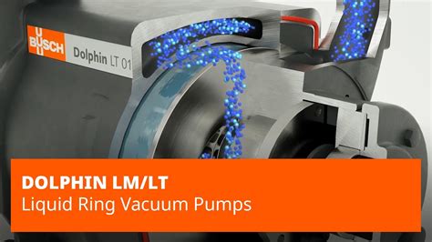 Dolphin Lmlt Series Liquid Ring Vacuum Pumps Busch Vacuum Solutions