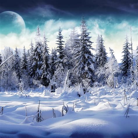 Live Snow Falling Wallpaper 54 Images
