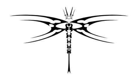 First, the dragonfly has the same aesthetic as the female butterfly tattoos or fairy, but it is certainly. 8 Creative Tribal Dragonfly Tattoos