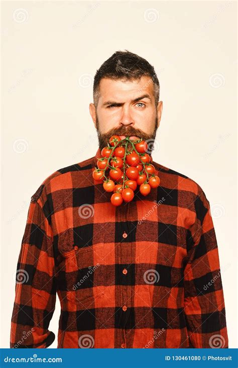 Man Holds Tomato Berries As Beard Isolated On White Background Stock