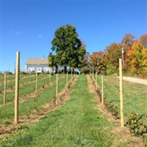 Discover luxury living in annapolis, md. Annapolis Highland Vineyards | Canada