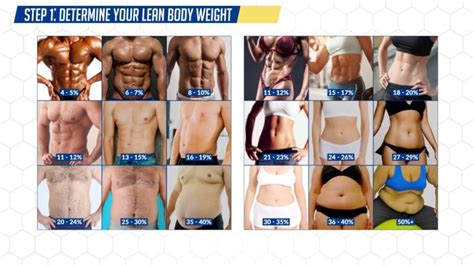 46 Recomended How Much Weight Do I Need To Lose To Get Abs Calculator Sets Fitness And Gym