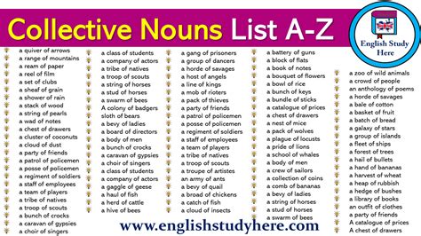 collective nouns list   english study