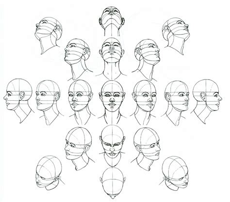 Head Perspective Full Sketches Drawings Brain Drawing