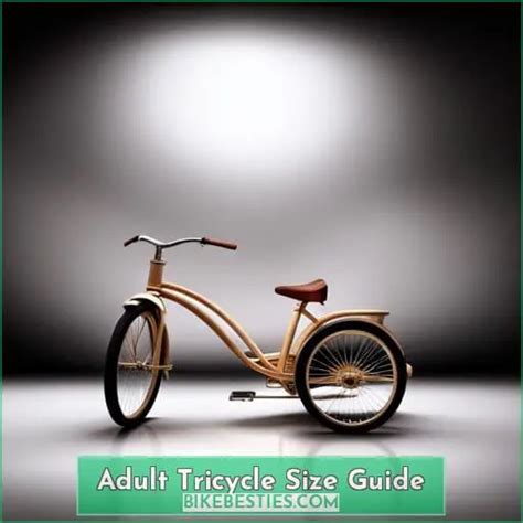 Choosing The Right Size Tricycle For Adults