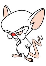 Most Viewed Pinky And The Brain Wallpapers K Wallpapers