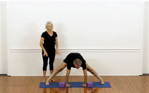 Beginners Course Iyengar Yoga Foundations Yoga Vastu