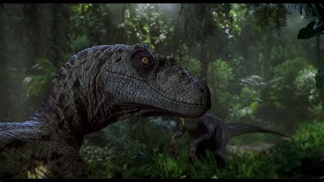 Velociraptor Jurassic Park Iii 1080p Jurassic Park Hd Wallpaper