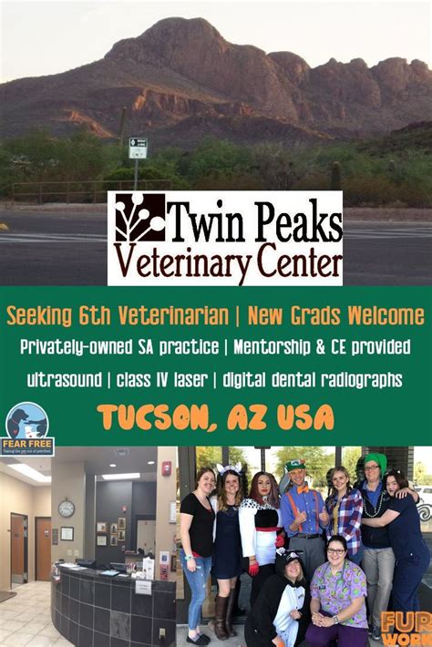 Veterinarian Twin Peaks Veterinary Center Tucson Az Furwork