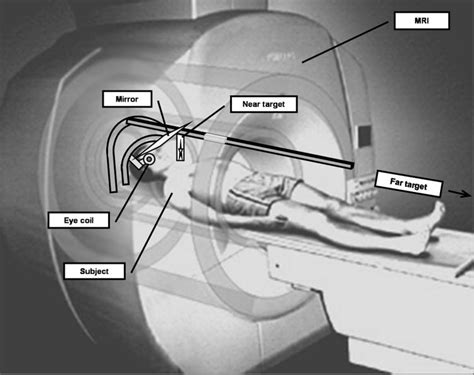 Schematic Of The MRI Setup Based On A Cartoon From The Web Site