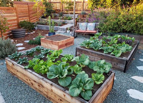 Choosing The Best Materials For Raised Garden Beds Homestead And Chill