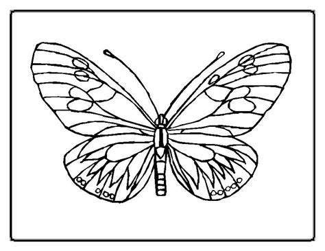 To feature or share these printables, please provide a. Free Printable Butterfly Coloring Pages For Kids