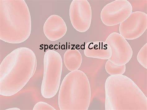 Specialized Cells Teaching Resources