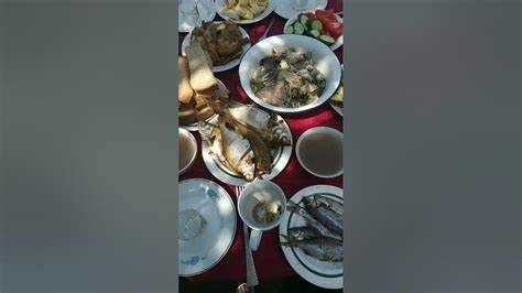 Диета капуста вареная рыба рыба соленая, вареная, жаренная, запечённая  рыба соленая, вареная, жаренная, запечённая  Диета капуста вареная рыба