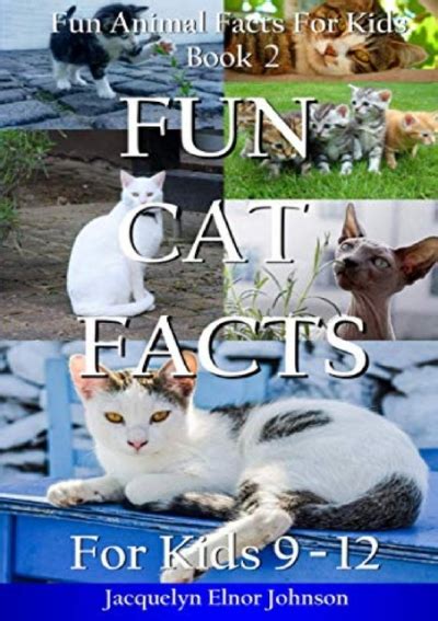 Fun Cat Facts For Kids 9 12 Fun Animal Facts For Kids