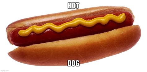 Funny Hot Dog Meme I Found On The Internet Hotdog
