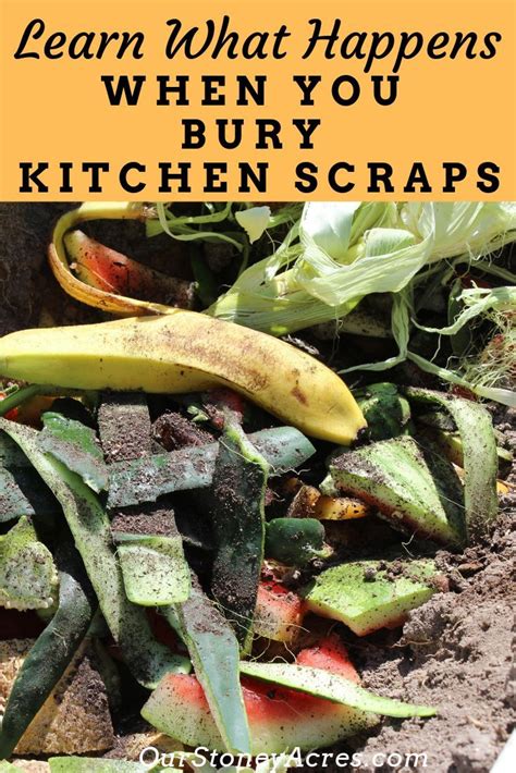 Learn What Happens When You Bury Kitchen Scraps In Your Vegetable