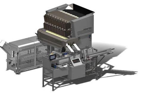 Carrots Weighing And Packing System Novatec Engineering