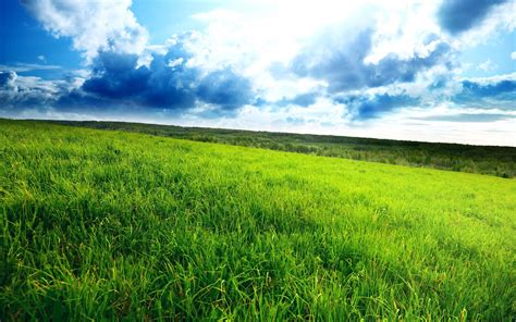 Superb Green Field Landscape Hd Wallpaper Preview