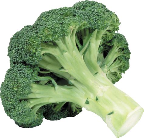 Broccoli Png Image Transparent Image Download Size 1541x1474px