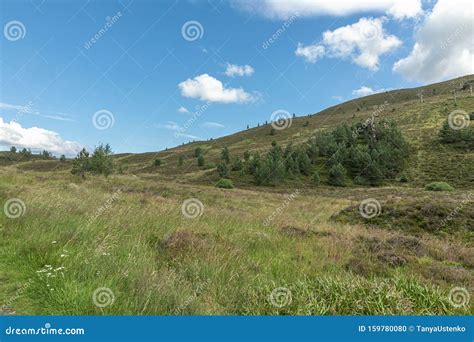 Cairngorms Sunny View In The Scottish Highlands Uk Stock Photo Image