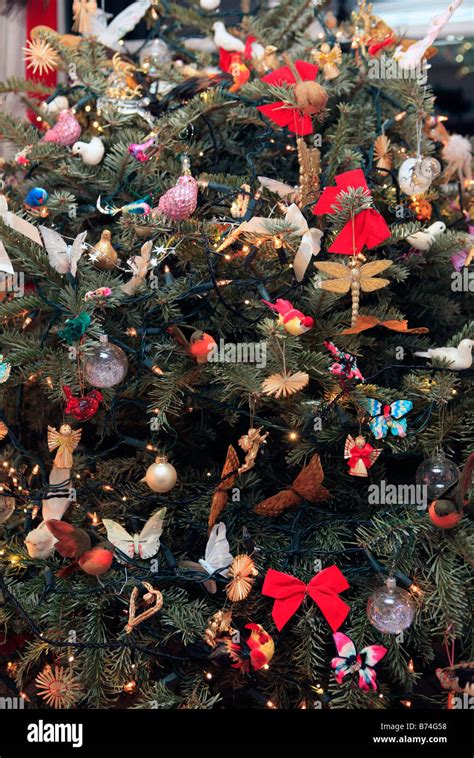 United Kingdom A Traditional British Christmas Tree Stock Photo Alamy