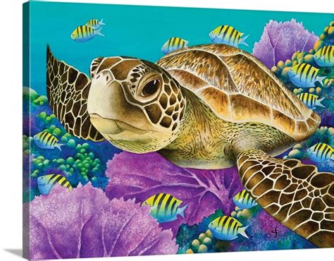 Young Green Sea Turtle Wall Art Canvas Prints Framed Prints Wall