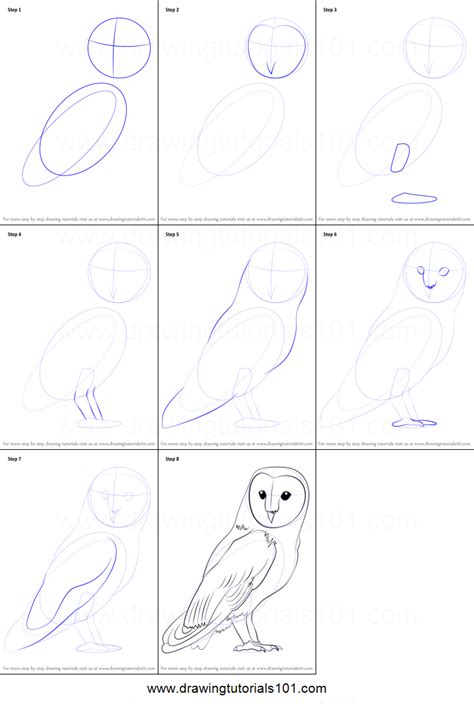 How To Draw A Barn Owl Printable Step By Step Drawing Sheet