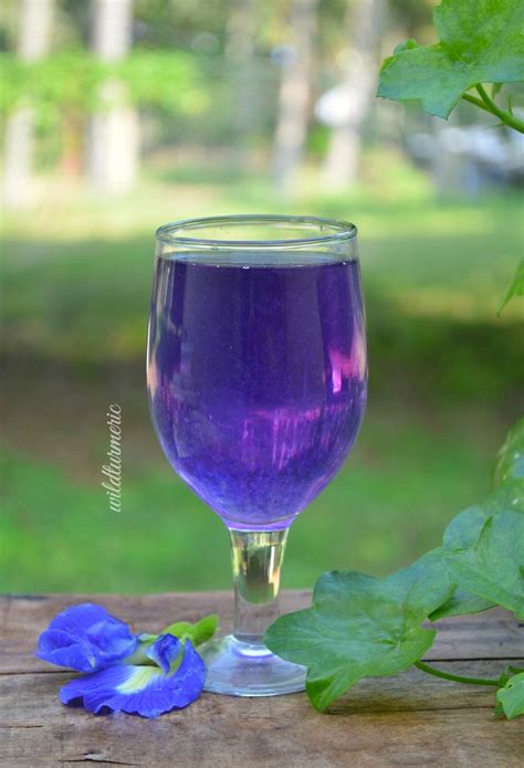 It gives a dark blue color, and a starch and pea taste. 10 Top Health Benefits Of Blue Butterfly Pea Flower Tea ...