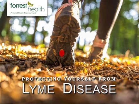 Protecting Yourself From Lyme Disease