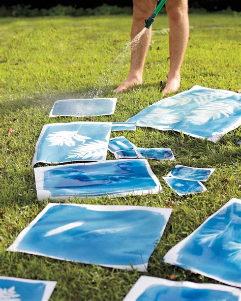 How To Make Sunprints Martha Stewart